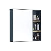 SHTFFW Badkamer spiegel kast spiegel box wandmontage spiegel opslag kast handdoekenrek opslag spiegelkast (niet…