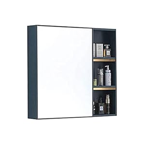 SHTFFW Badkamer spiegel kast spiegel box wandmontage spiegel opslag kast handdoekenrek opslag spiegelkast (niet…