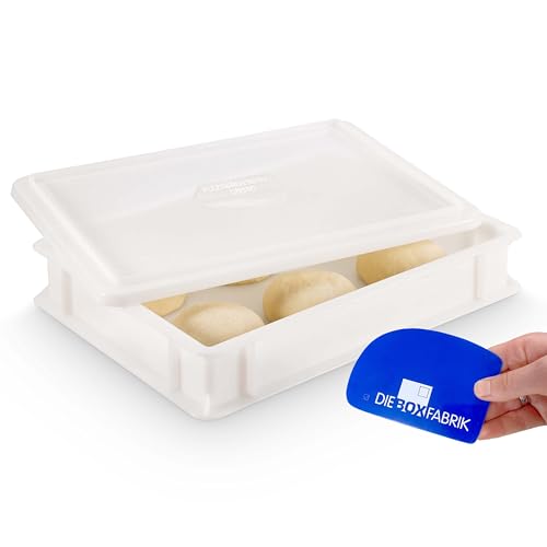 DIE BOX FABRIK 1 Pizzaballenbox Gusto + 1 Deckel, 40x30x7 cm | Gärbox, Teigwanne für Pizzateig. Teigbox für 6 Pizzaballen, Pizzateigbehälter (1 Gusto Box + 1 Deckel)