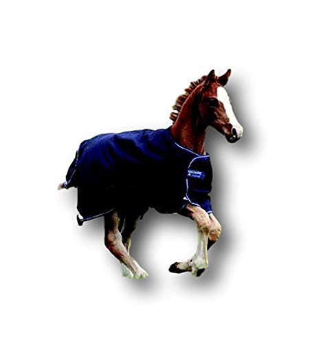 Amigo Foal Turnout Blanket 48 Excalibur