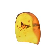 Baltic Amber Fossil with Flies Insect - Natural stones - 2g - Collector Item