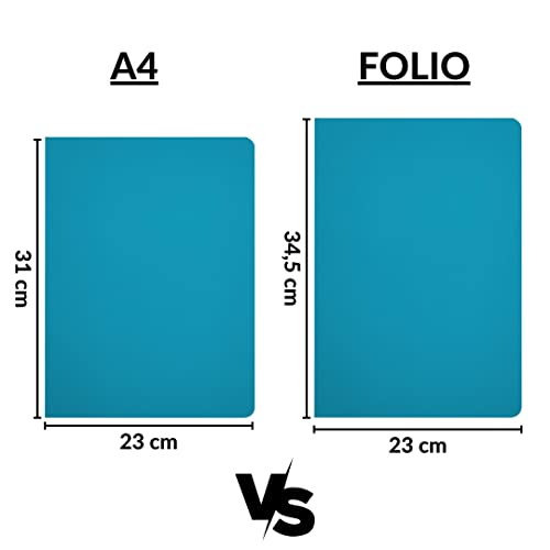 Raylu Paper® - Pack of 25 Cardboard File Folders with Faster Holes and Vivid Colours, 200g Thick Kraft Cardboard Folders (Blue, Folio) - Image 3