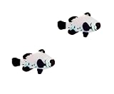 2-Pack Live Black Frostbite Ocellaris Clownfish, Captive Bre...