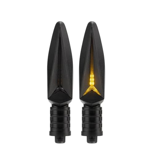 Clignotants LED pour moto BMW R1200GS F800 F650GS avec prise d'origine