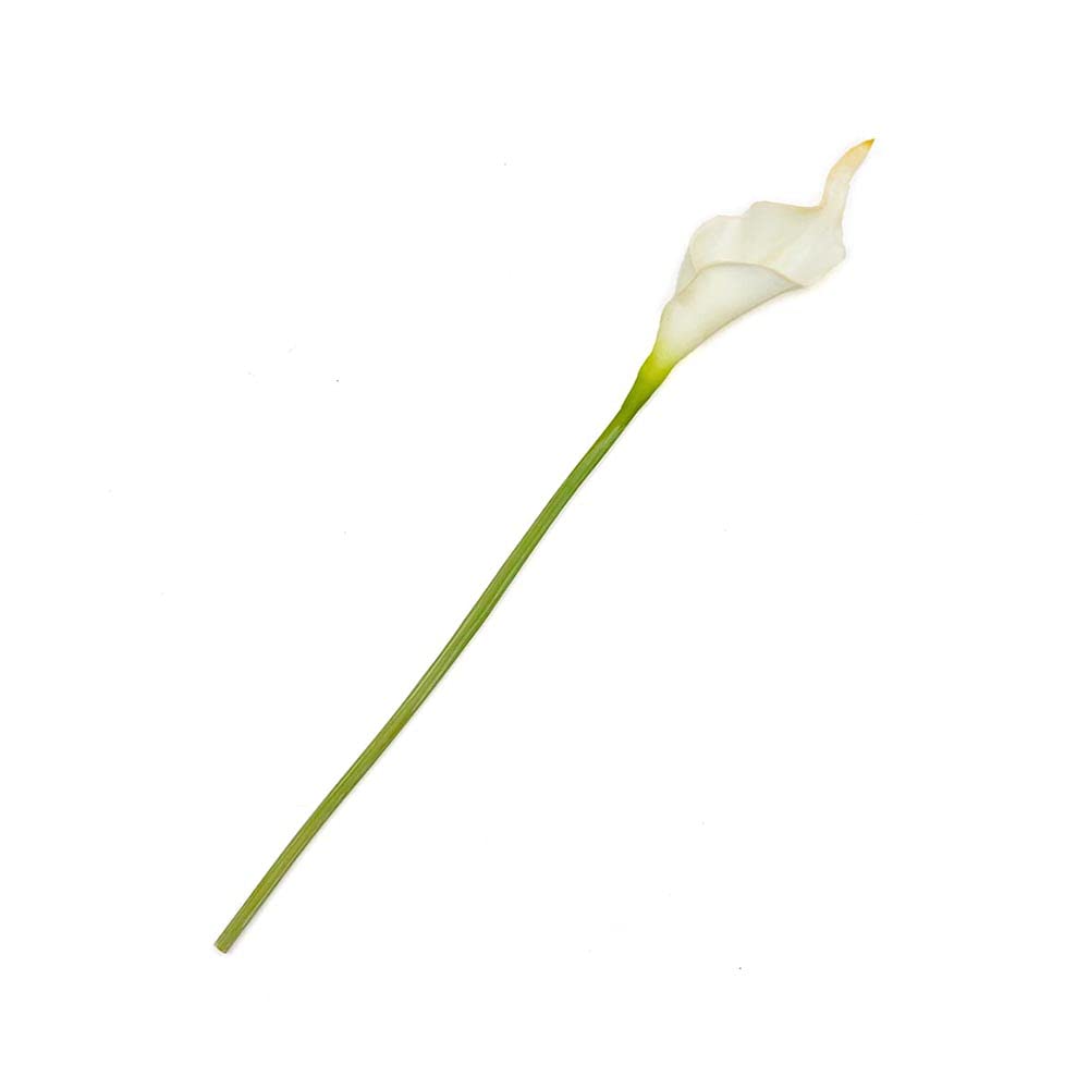 カラーリリー プログラム30 Amazon｜【アジア工房】造花カラーリリー [ショート] [3色展開