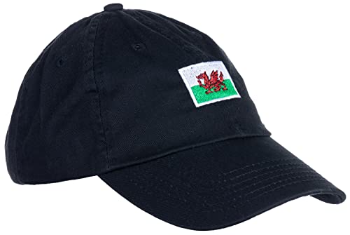 Ann Arbor Welsh Flag Baseball Hat Black