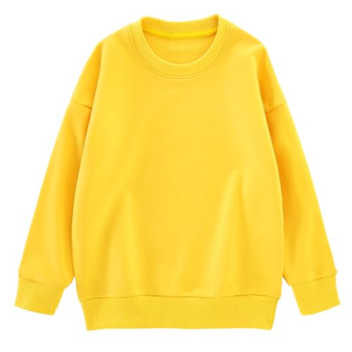 QZH.DUAO Kids Boys Girls Long-Sleeve Crewneck Drop Shoulder Sweatshirt Pullover Tops, 2-10 Years