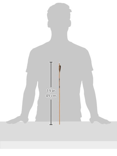image for Gold Tip Traditional Arrows with 4-Inch Feathers (Pack of 6), Brown, 6