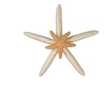 Mini Double Starfish Christmas Tree Topper, with Sugar Starfish, Miniature Holiday Topper