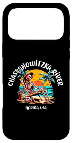 Chassahowitzka River Florida �y�����X�P���g�� ���z�̉��Ńf�U�C�� �X�}�z�P�[�X iPhone 17 Pro Max �p