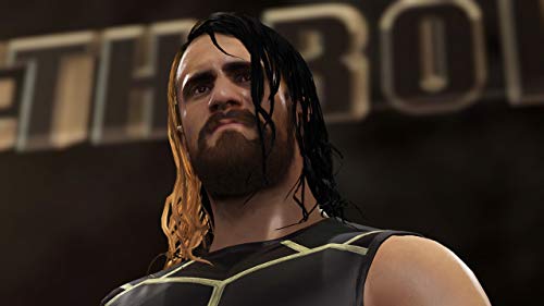 WWE 2K16 - PlayStation 4 (Renewed)