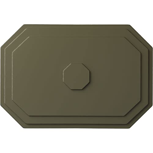 Image of Ekena Millwork CM25FEPTF Felix Ceiling Medallion, Painted Turtle, 25-1 /4 inch x 17-1 /4 inch x 1-3 /4 inch
