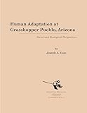  Human Adaptation at Grasshopper Pueblo, Arizona: Social and Ecological Perspectives