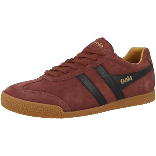 Image of Gola Harrier