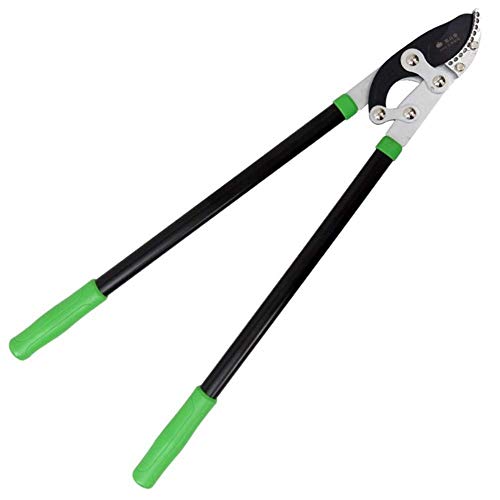 Cesoie da giardino estensibili portatili Troncarami a cricchetto Troncarami Troncarami da giardino Utensili per cesoie da giardino SK5 Acciaio legato Durevole Impugnatura ergonomica antisc