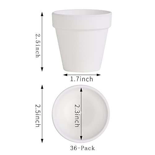 Yishang 36 Pcs Small Mini White Clay Pots, 2.5'' Terracotta Pot Clay Ceramic Pottery Planter,Cactus Flower Terra Cotta Pots,Succulents Nursery Pots,With Drainage Hole,Great For Crafts,Wedding Favor #TOP1