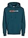 Produktbild JACK & JONES Male Kapuzenpullover Logo Kapuzenpullover