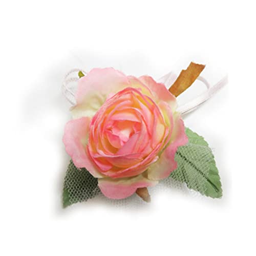 yt@~ADRz\tg[Y[tM sN CS-29-01  q i RT[W  ԏ    w Ǝ Cxg \