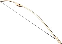 Algopix Similar Product 20 - 71 Competition or Hunting Bow 