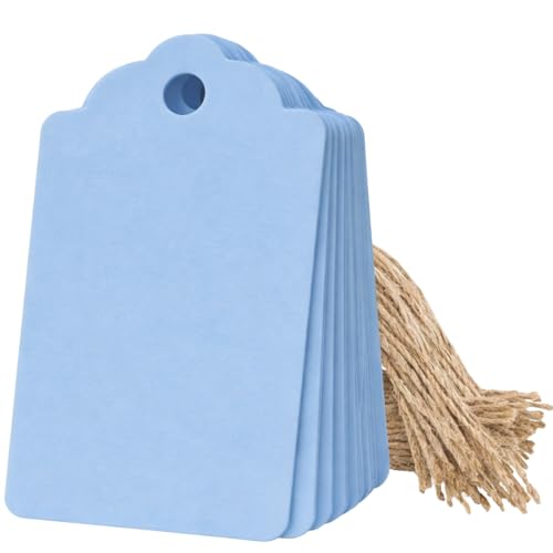 Image of CVANU 300pcs Premium Color Tag Blank Hanging with Pre-Punched Hole Tags for DIY Crafts, Gift Wrapping, Labelling & Writable Decorative Tags for All Occasions (2.85in X 1.7in) Light Blue2