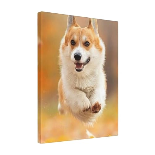 A[gplǊ|  1 ?Ǒ?z _ |X^[  k|X^[ \t@wiAoX[N̗ǂ|[`Aؐt[free Size