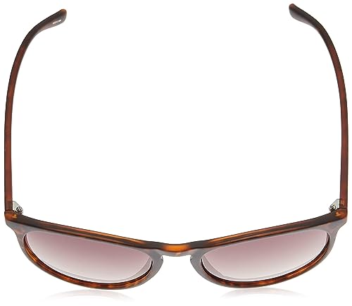 Polaroid PLD 6003/N/S Havana/Brown Shaded Polarized 54/19/140 men Sunglasses4