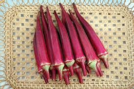 Golden Hills Farm Hybrid Vegetable Seeds of Red Bhindi -100 Seeds (B08Z4H5Z5K) Amazon Price History, Amazon Price Tracker