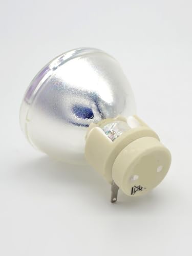 Ampoule de projecteur W1070 idéale pour vos sessions cinéma maison