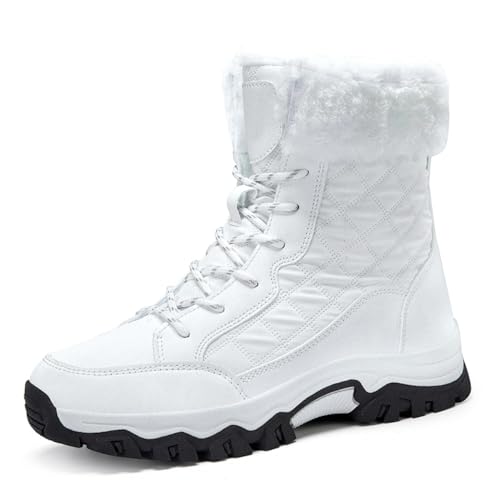 [WINDUCK] Xm[u[c fB[X u[c Xm[V[Y h ~  h Ȃ kC y EB^[u[ c {A g N kC (zCg,26.0 cm)