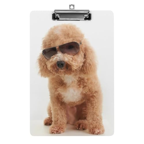 Nbv{[h A4 c^ TOXgC v[h t@C{[h Ǌ|  ₷ v{[h Ď^т₷  [ cpbh pi  wZ ƒpoC_[