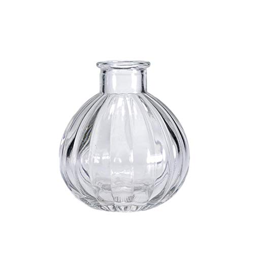 Vipolish 1Pcs Empty Clear Glass Diffuser Bottle Aromatherapy Diffuser Jar Container Decorative Vase Fragrance Accessories Use For Diy Replacement Reed Diffuser Sets Essential Oils Craft Decor #TOP14