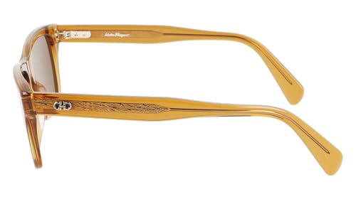 Ferragamo Men's 74148 54Mm Sunglasses, Brown3
