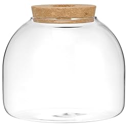 ULTECHNOVO Glass Terrarium Container