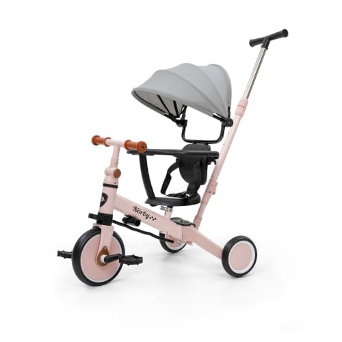 Interbaby - Triciclo 5 en 1 Multifuncional Norby - Triciclo y Bicicleta de Equilibrio Evolutiva 5 en 1 para Bebés y Niños, con Capota y Pedales Desmontables, 1 a 5 Años (Máx. 25 kg)