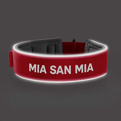 Hunter Neoprene Collar Reflect FC Bayern L (60), red - Image 2