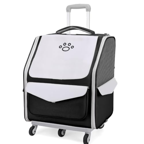 ZDQMAD �y�b�g�L�����A - 3 in 1 (�o�X�P�b�g/�x�r�[�J�[/�o�b�N�p�b�N)�A�L���X�^�[�t���A�܂肽���ݎ��A���O���\�A�L�k�n���h���t���B�������A���s�A�A�E�g�h�A�A�y�b�g�̗��s�ɍœK�ł��B (�v�����b�h�^�C�v,�O���[)