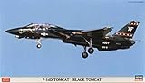 ハセガワ 1/72 F-14D トムキャット ブラックトムキャット