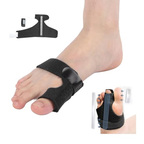 wT|[^[ 5{w ̍b  w  T|[^[ A~jEŒ p`OʋC݌v Ȇ̃jo[TfUC wی w lw w w 5{wŒ  (Q)