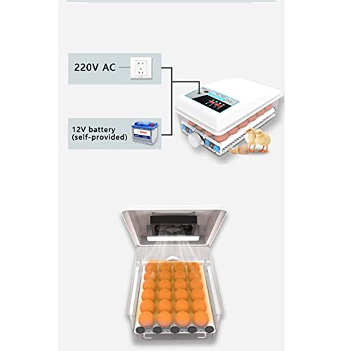 QHYTL Ei-Inkubator 6 Gitter Eier Digitaler Inkubator Temperatur Hausfrauen Automatische Mini-Hähnchen-Enten-Gänse-Vögel… – Bild 4