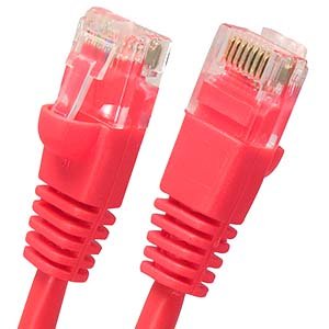 Cable patch Cat.5e 50 pies rojo