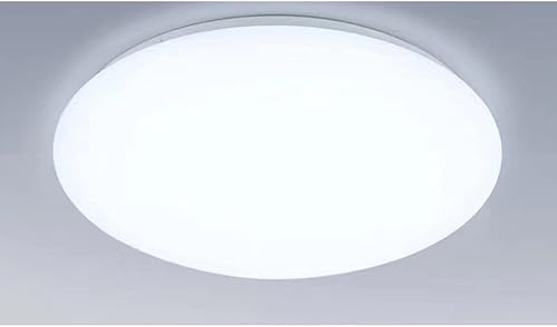 GOOSENECK 11.81 pulgadas minimalista lámpara de techo LED 18W 110V diseño blanco fino