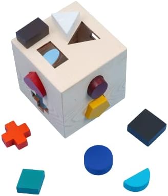 Cube-It-In: Interactive Baby Toy For Motor Skill Development&Spatial Awareness-Engaging&Stimulating Play Experience,Multicolor