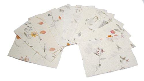 Paper Palace Mulberry Plain Fogli, Colori