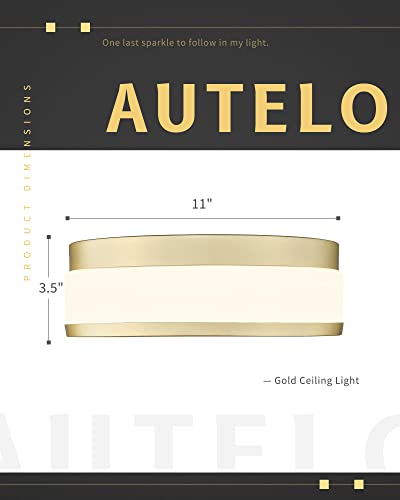 Autelo Gold Ceiling Light, Frosted Glass Flush Mount Ceiling Light Fixture In Gold Metal Finish, 12-Inch Modern Hallway Light Fixtures Ceiling C3862 Gd E26 #TOP5