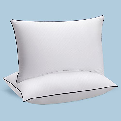 THLAND Bed Pillows for Sleeping 2 Pack, Queen Size Cooling Pillows,Down Alternative Soft Hotel Quality Pillows Set of 2, Premium Plush Fiber Fill Pillow for Side and Back Sleeper(20x30inches)