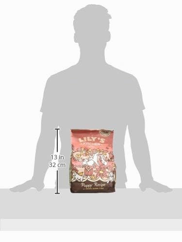 Lily's Kitchen Mit natürlichen Zutaten hergestellt Trockenfutter für Welpen, Lachs & Erbsen Getreidefreie Rezeptur 2.5kg Beutel