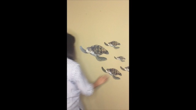 Vinilo decorativo tortuga marina para pared 14x11 in miniatura 7