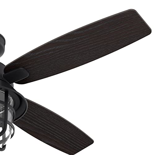 Hunter 52 inch Outdoor or Indoor Ceiling Fan with LED Light and Remote Control - Black Ceiling Fan, Standard Mount, 4 Blades, For Patio, Porch, or Living Room - Port Royale 50391, Natural Black Iron - Image 10