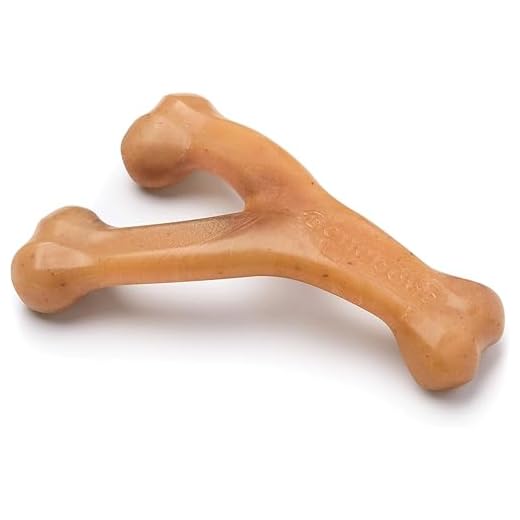 Benebone Wishbone Chew Toy for Dogs (Real Chicken, Medium)