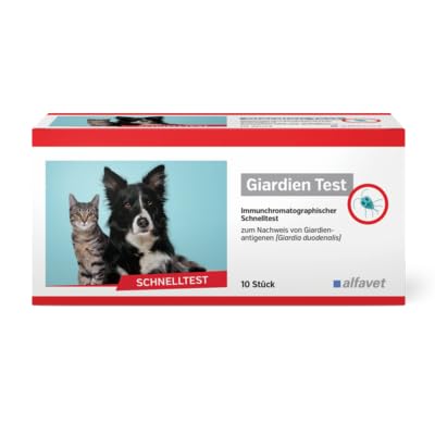 Alfavet Giardien Test, Schnelltest für Hund, Katze und Kleintiere, Qualitativer Nachweis von Giardia-Zysten und Trophozoiten, 10 Tests